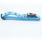 Zgarda Nylon Caini Mol Model Light Blue Click 25 mm x 45-70 cm