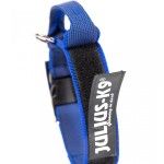 Zgarda K9 nylon cu maner, 50 mm, albastra