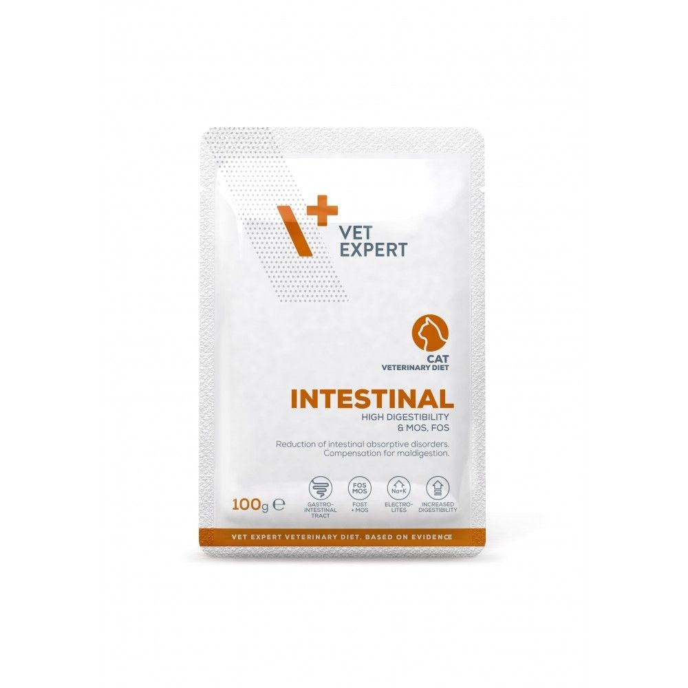 4T Dieta Veterinara Pisici Intestinal Cat, Vetexpert, 100 g