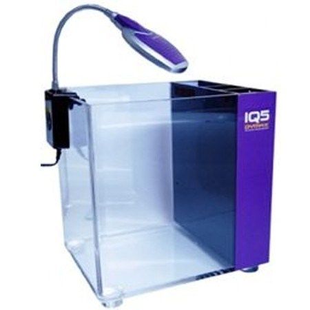 Dymax IQ5/Mini acvariu acril cu filtru intern Purple Amethyst acril