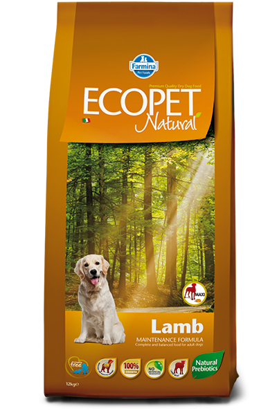 Ecopet Natural Dog Adult Maxi Miel Si Orez, 12 Kg