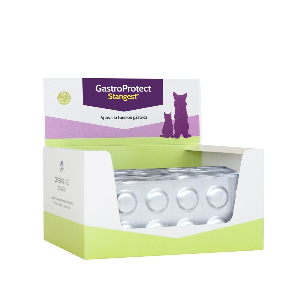 Gastroprotect, Stangest, Blister, 10 tablete