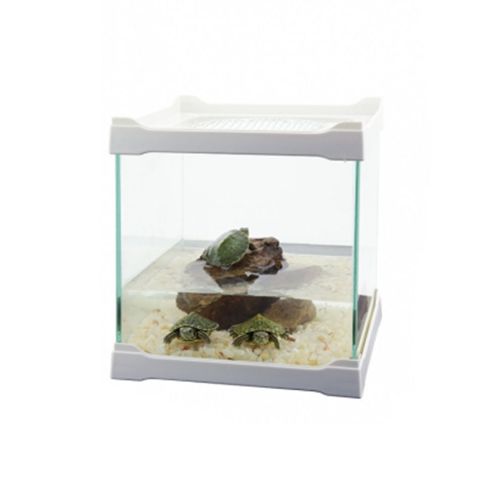 ISTA - Acvariu multifunctional, sticla, alb - Multi-Aquarium Pet Case, White