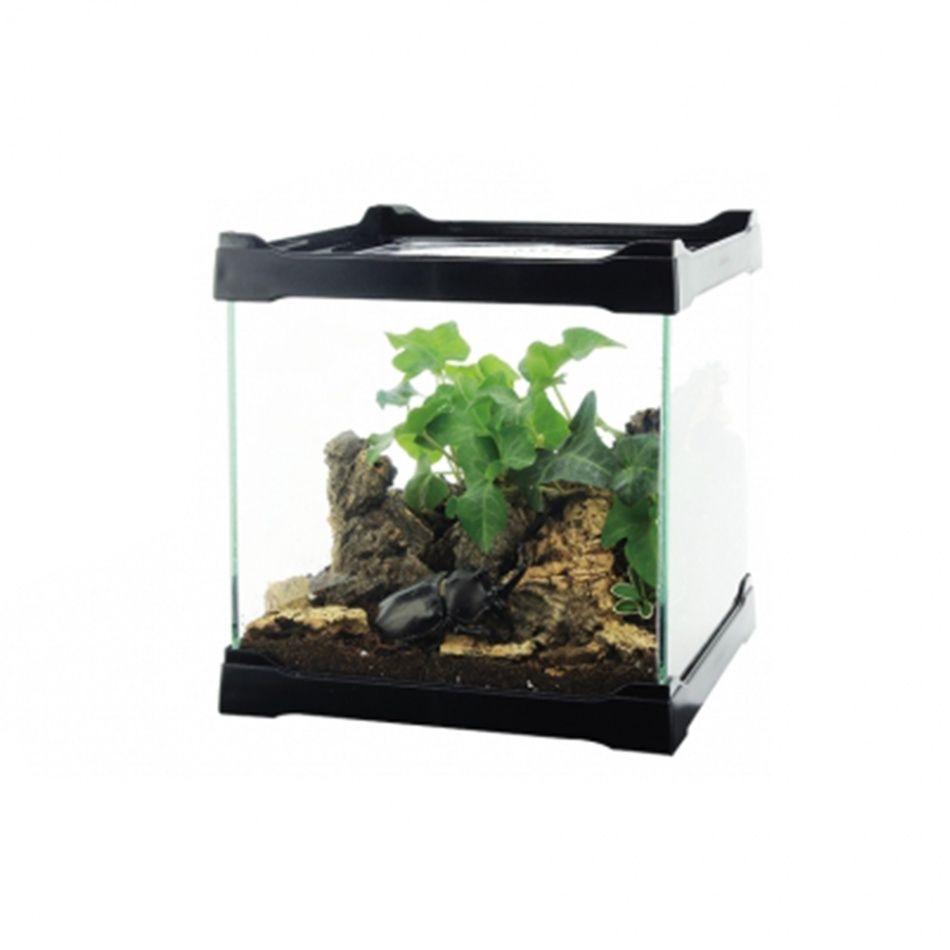 ISTA – Acvariu Multifunctional, Sticla, Negru – Multi-Aquarium Pet Case, Black