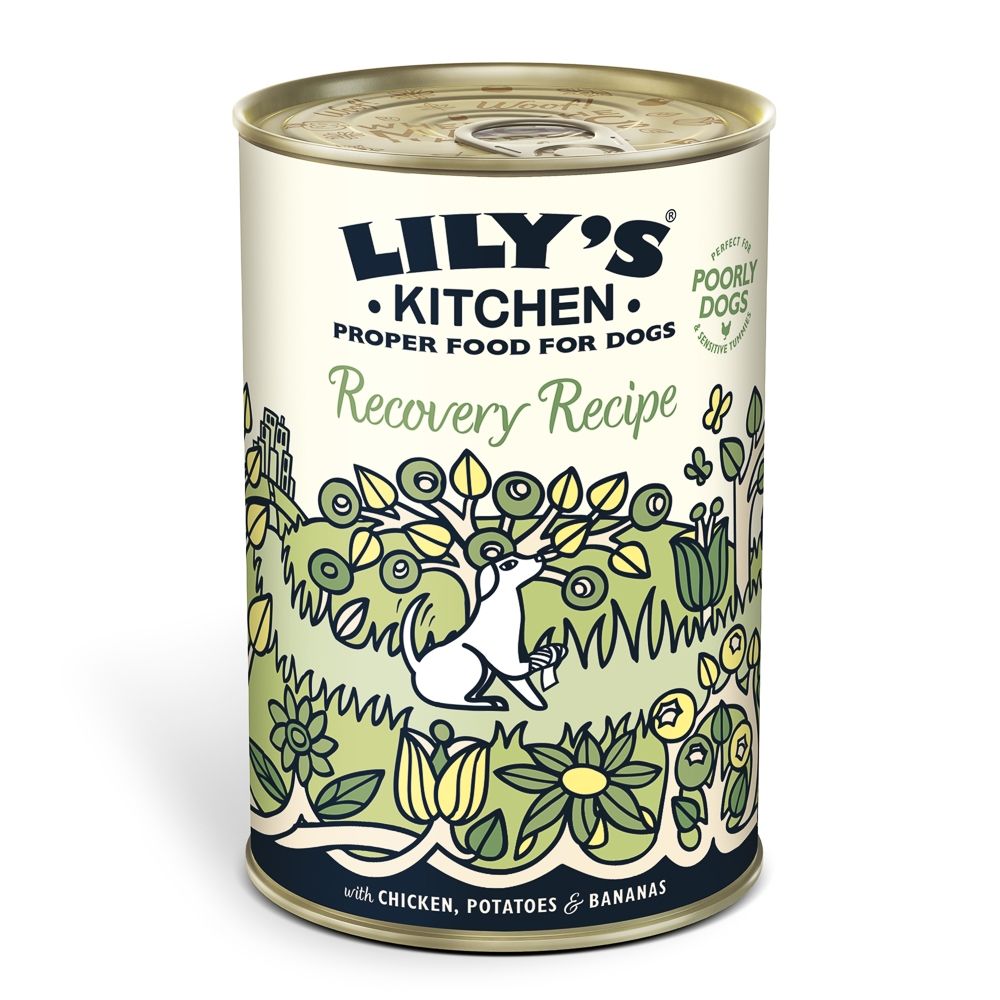 Lily’s Kitchen For Dogs Recovery Recipe With Chicken, Potatoes & Bananas, 400 g 400 imagine 2022