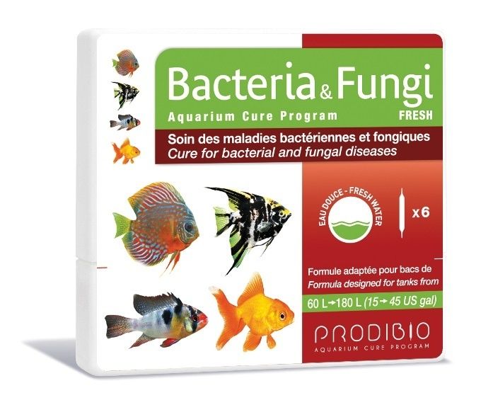 Medicament Bacteria & Fungi Fresh 6 Fiole