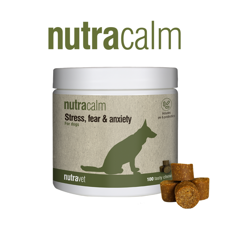 Nutravet Nutracalm, Caini, 100 chews