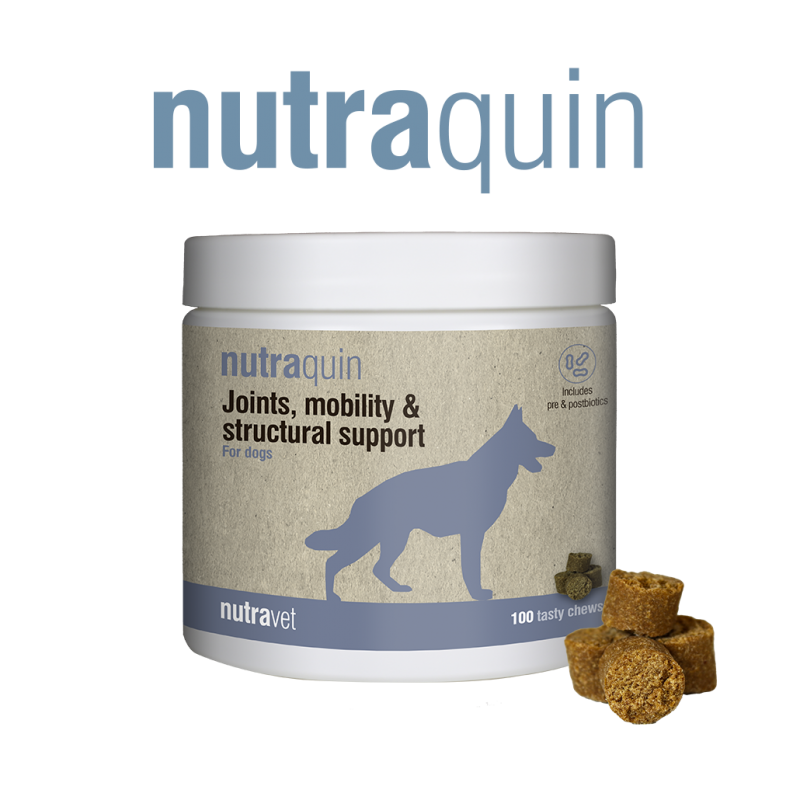 Nutravet Nutraquin, Caini, 100 chews