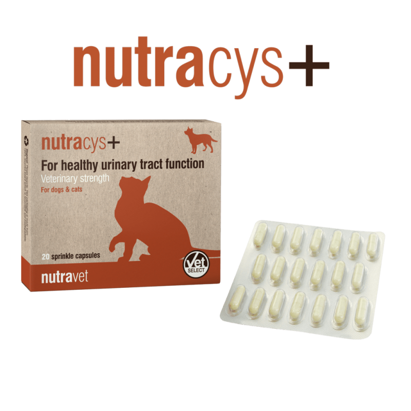 Nutravet Nutracys+, Caini & Pisici, 20 Capsule