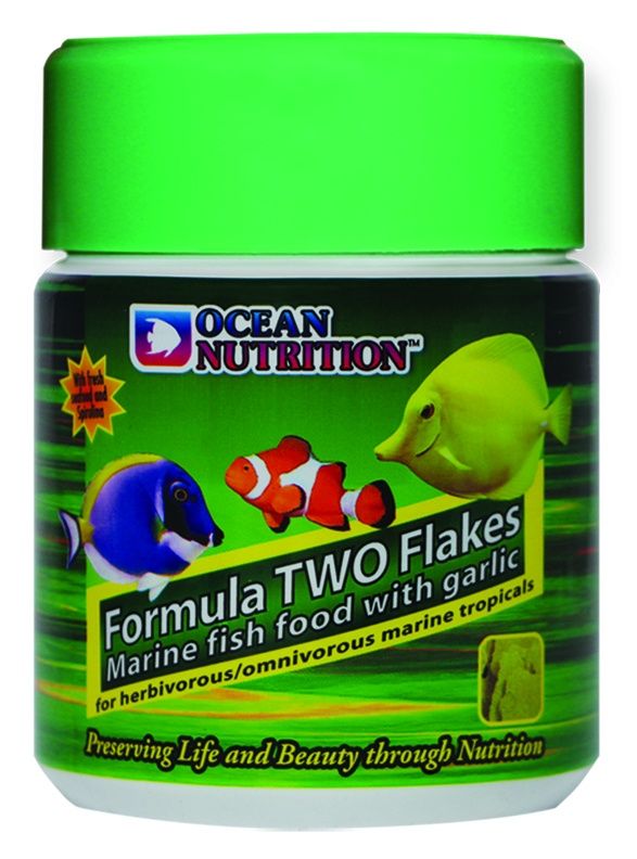Ocean Nutrition Formula Two Flakes 71g 71g