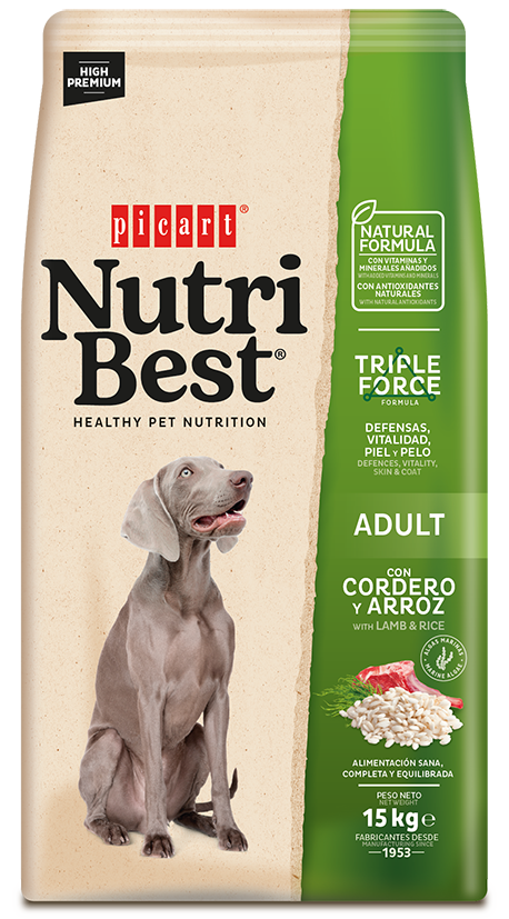 Hrana Uscata Caini, NutriBest Adult Dog, Miel si Orez, 15 kg