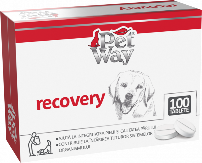 PetWay Recovery, 100 tablete