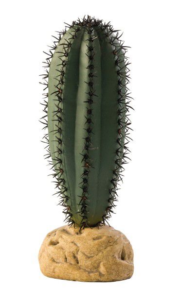 EXO TERRA PLANTA SAGUARO CACTUS PT2981 Cactus imagine 2022