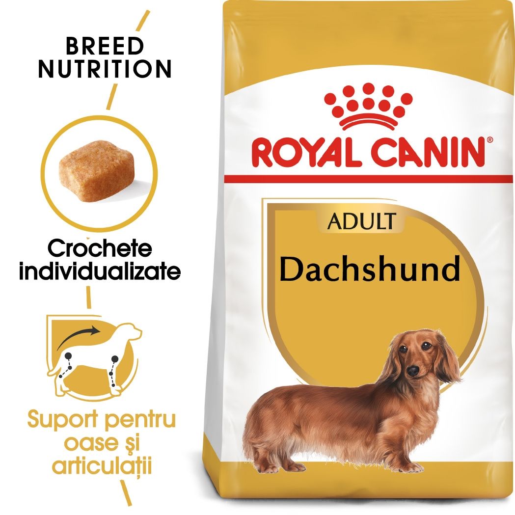 Royal Canin Dachshund Adult Hrana Uscata Caine Teckel