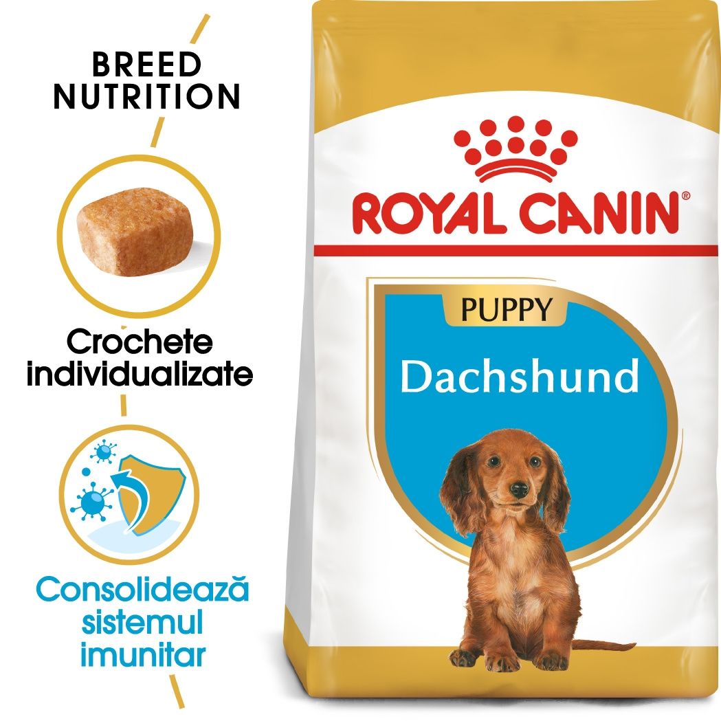 Royal Canin Dachshund Puppy hrana uscata caine junior Teckel, 1.5 kg