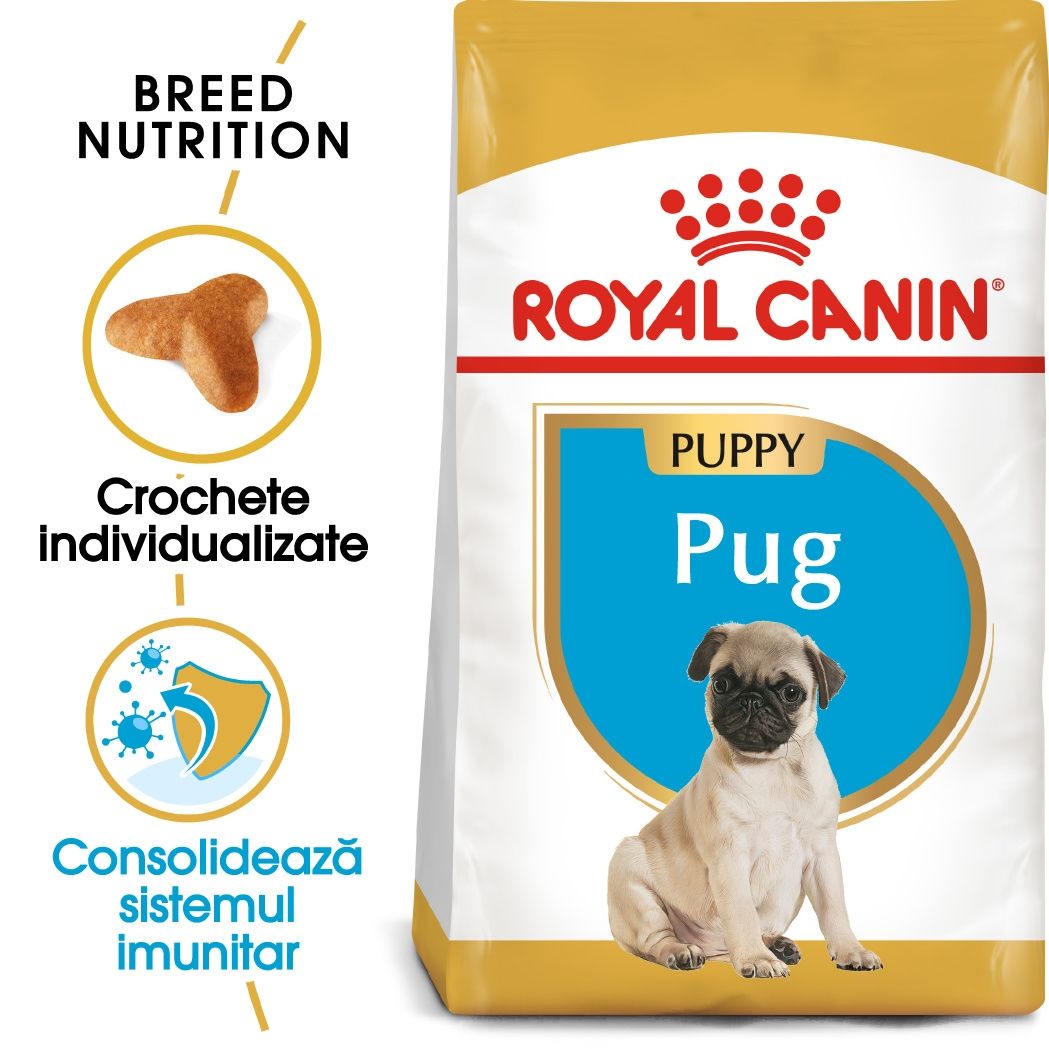 Royal Canin Pug Puppy Hrana Uscata Caine Junior, 1.5 Kg