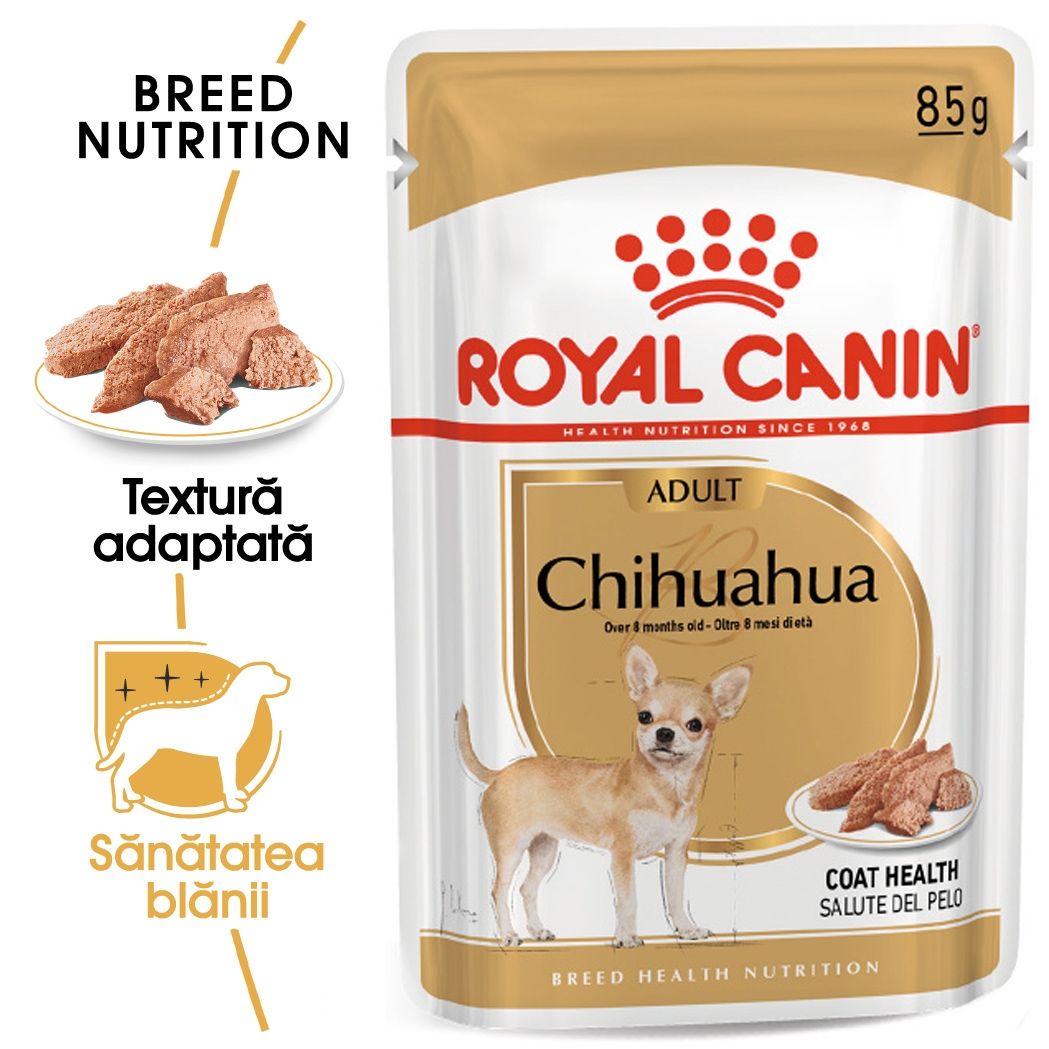 Royal Canin Chihuahua Adult, 1 plic x 85 g Adult imagine 2022