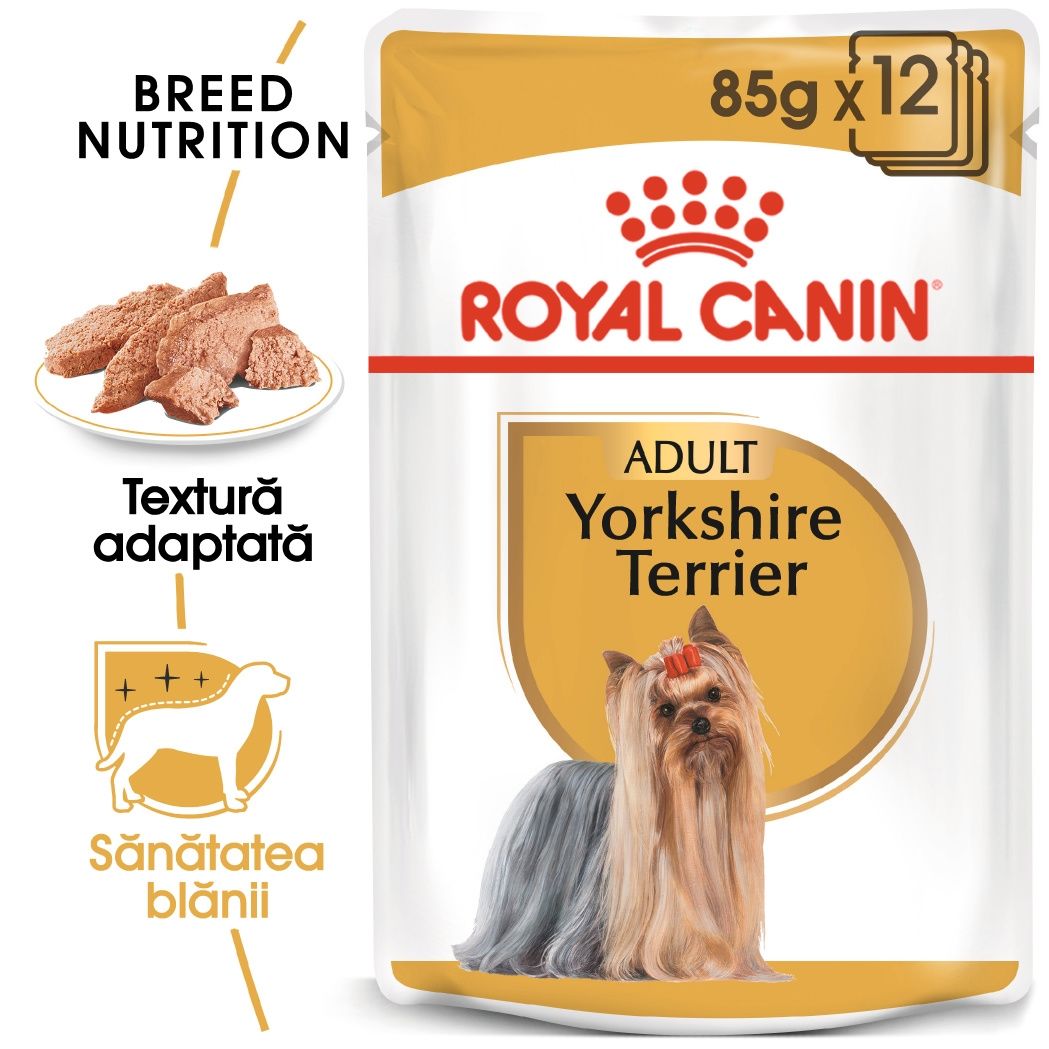 Royal Canin Yorkshire Terrier Adult (pate), 12 X 85 G