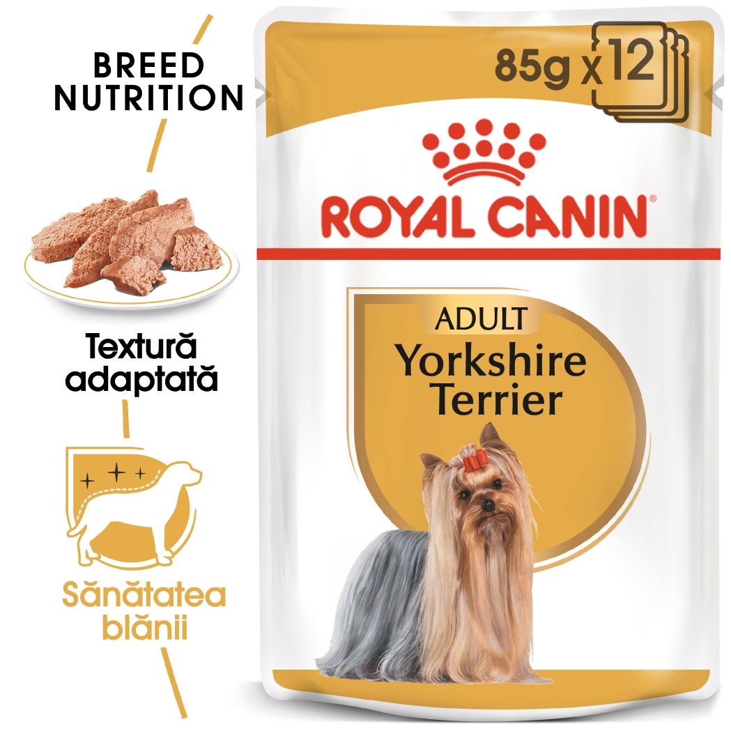 Royal Canin Yorkshire Terrier Adult (pate), 12 x 85 g