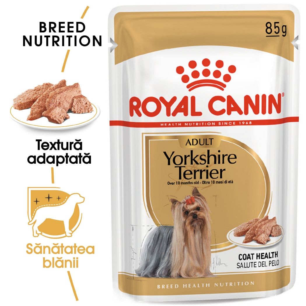 Royal Canin Yorkshire Terrier Adult (pate), 1 plic x 85 g (pate)