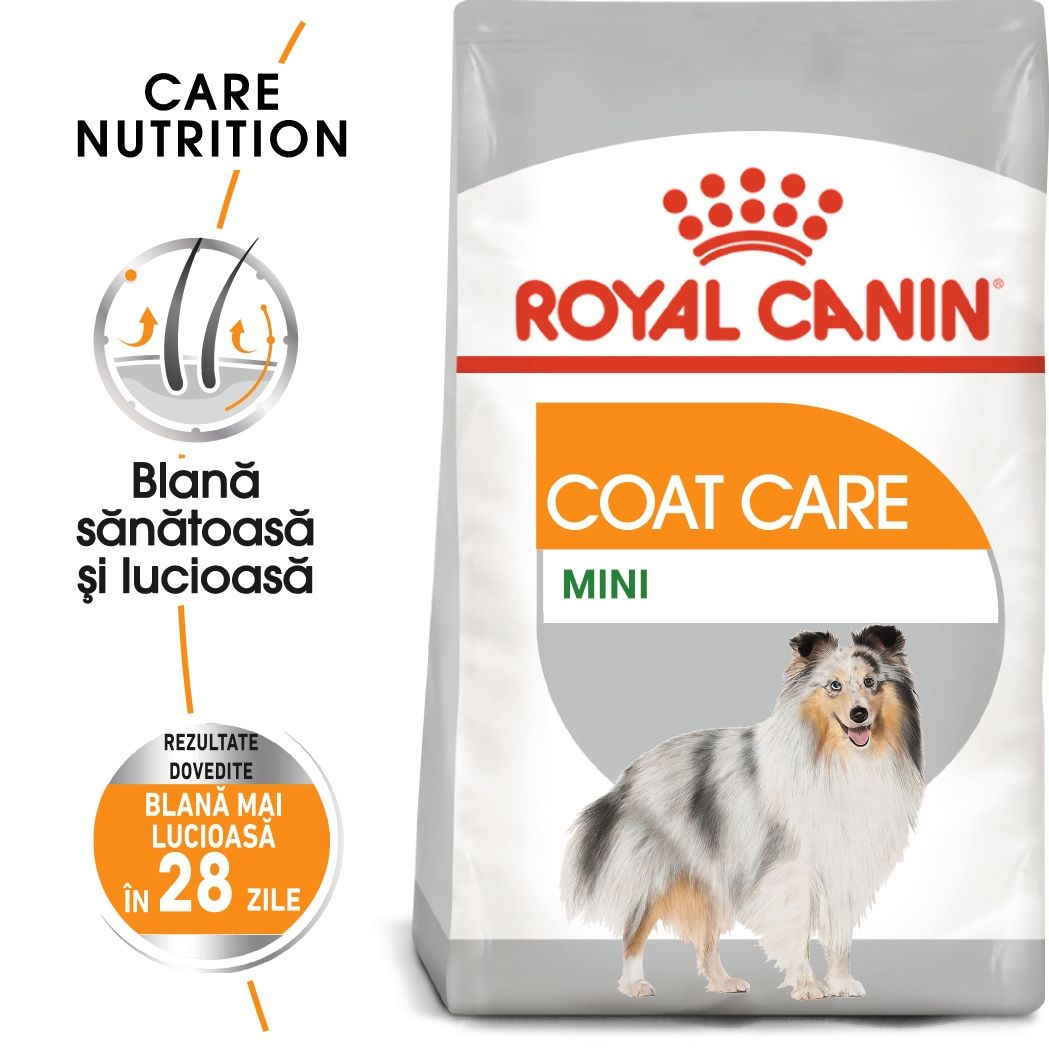 Royal Canin Mini Coat Care Adult hrana uscata caine, blana sanatoasa si lucioasa, 3 kg