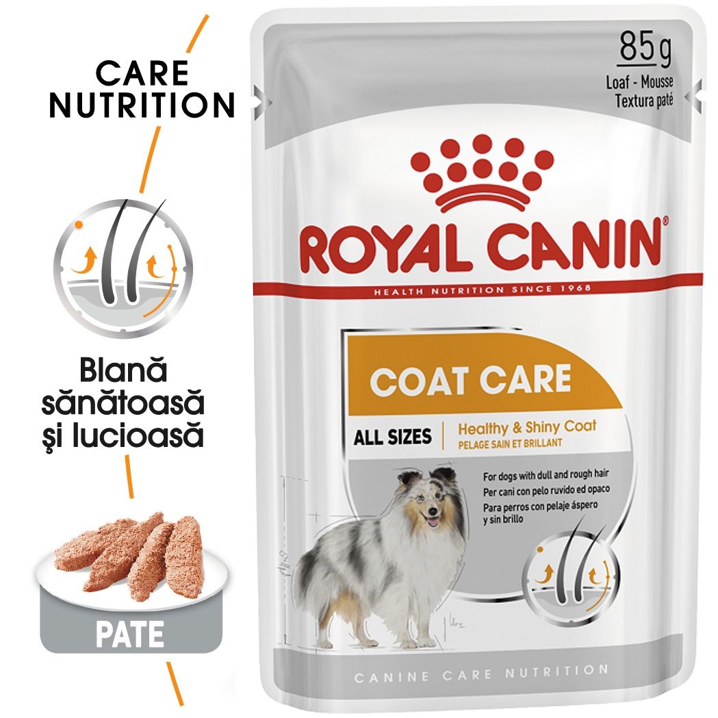 Royal Canin Coat Care Adult hrana umeda caine, blana sanatoasa si lucioasa (pate), 85 g Adult