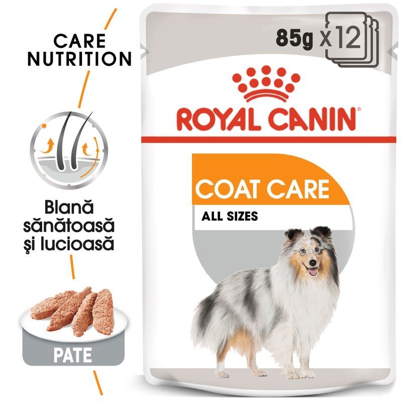 Royal Canin Coat Care Adult hrana umeda caine, blana sanatoasa si lucioasa (pate), 12 x 85 g (pate) imagine 2022
