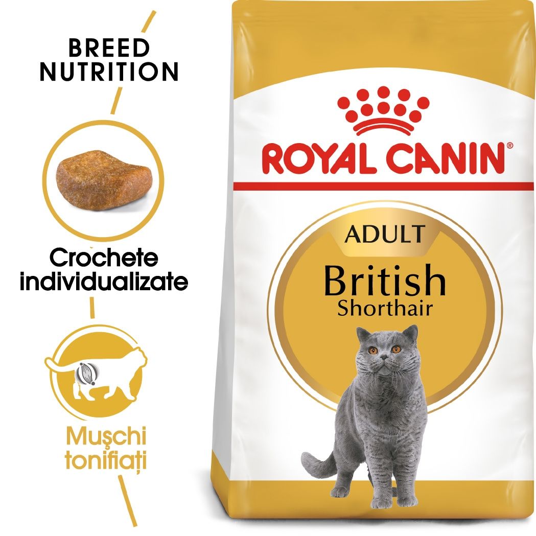 Royal Canin British Shorthair Adult hrana uscata pisica Adult imagine 2022