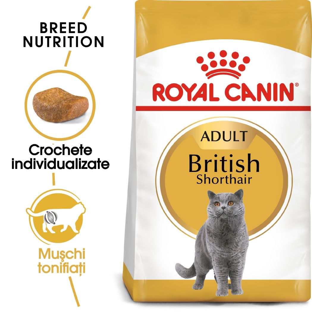 Royal Canin British Shorthair Adult hrana uscata pisica, 2 kg