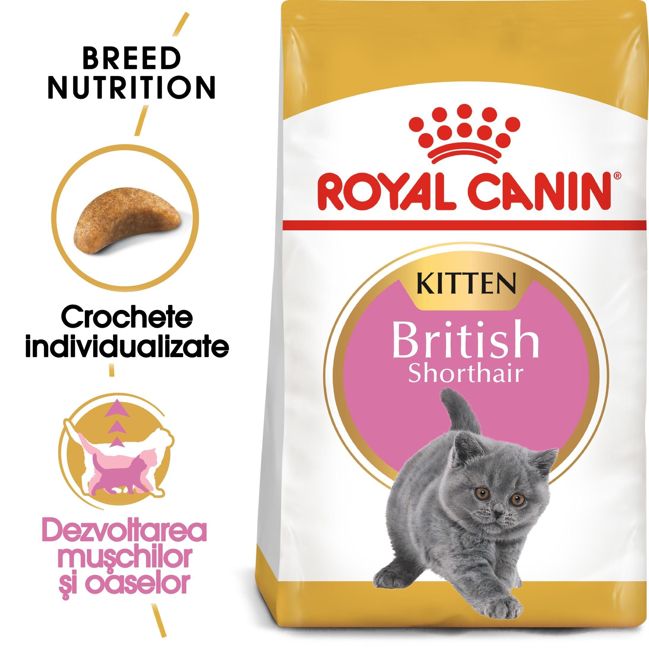 Royal Canin British Shorthair Kitten Hrana Uscata Pisica Junior