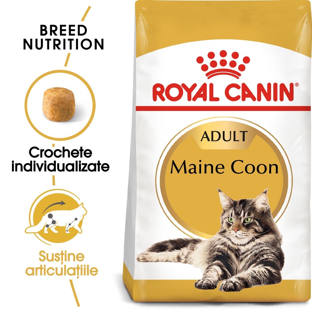 Royal Canin Maine Coon Adult hrana uscata pisica Adult imagine 2022