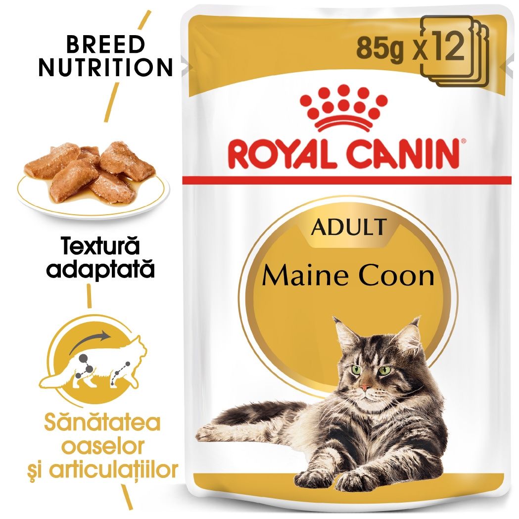 Royal Canin Maine Coon Adult hrana umeda pisica (in sos), 12×85 g (în imagine 2022