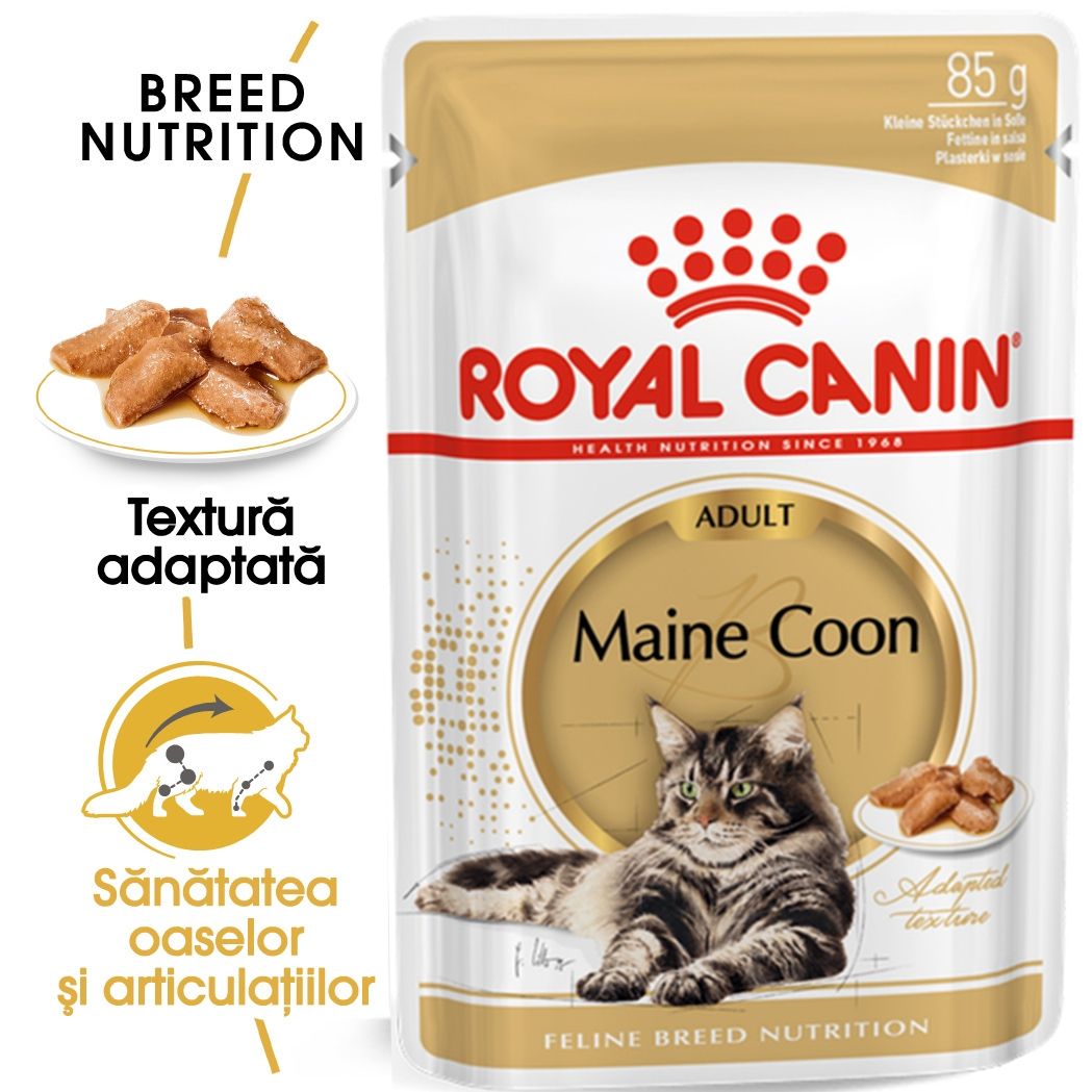 Royal Canin Maine Coon Adult Hrana Umeda Pisica (in Sos), 85 G