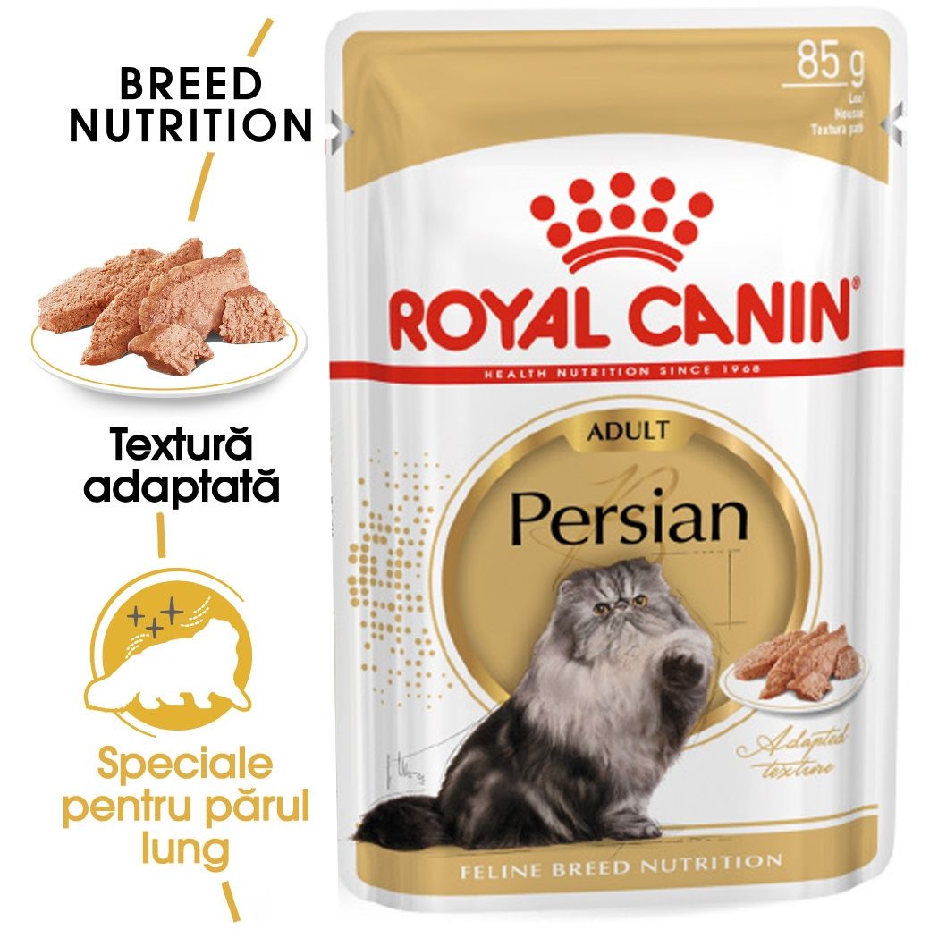 Royal Canin Persian Adult hrana umeda pisica (pate), 85 g