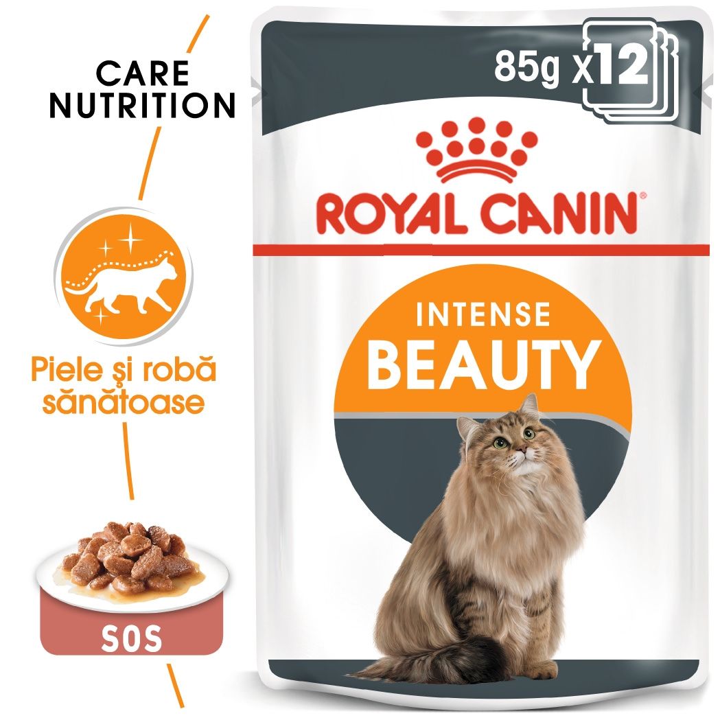 Royal Canin Intense Beauty Care Adult hrana umeda pisica, piele/ blana sanatoase (in sos), 12×85 g (in
