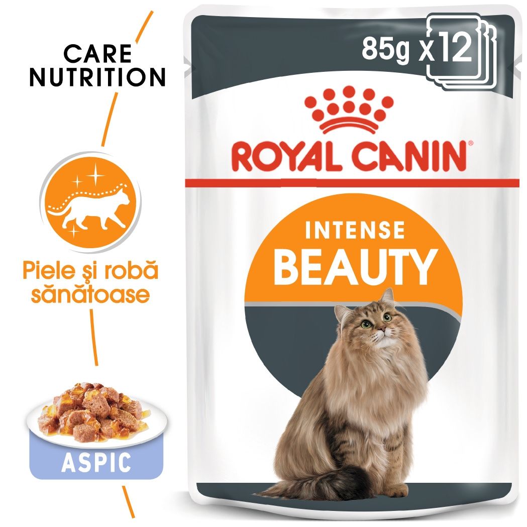 Royal Canin Intense Beauty Care Adult hrana umeda pisica, piele/ blana sanatoase (aspic), 12×85 g (aspic)