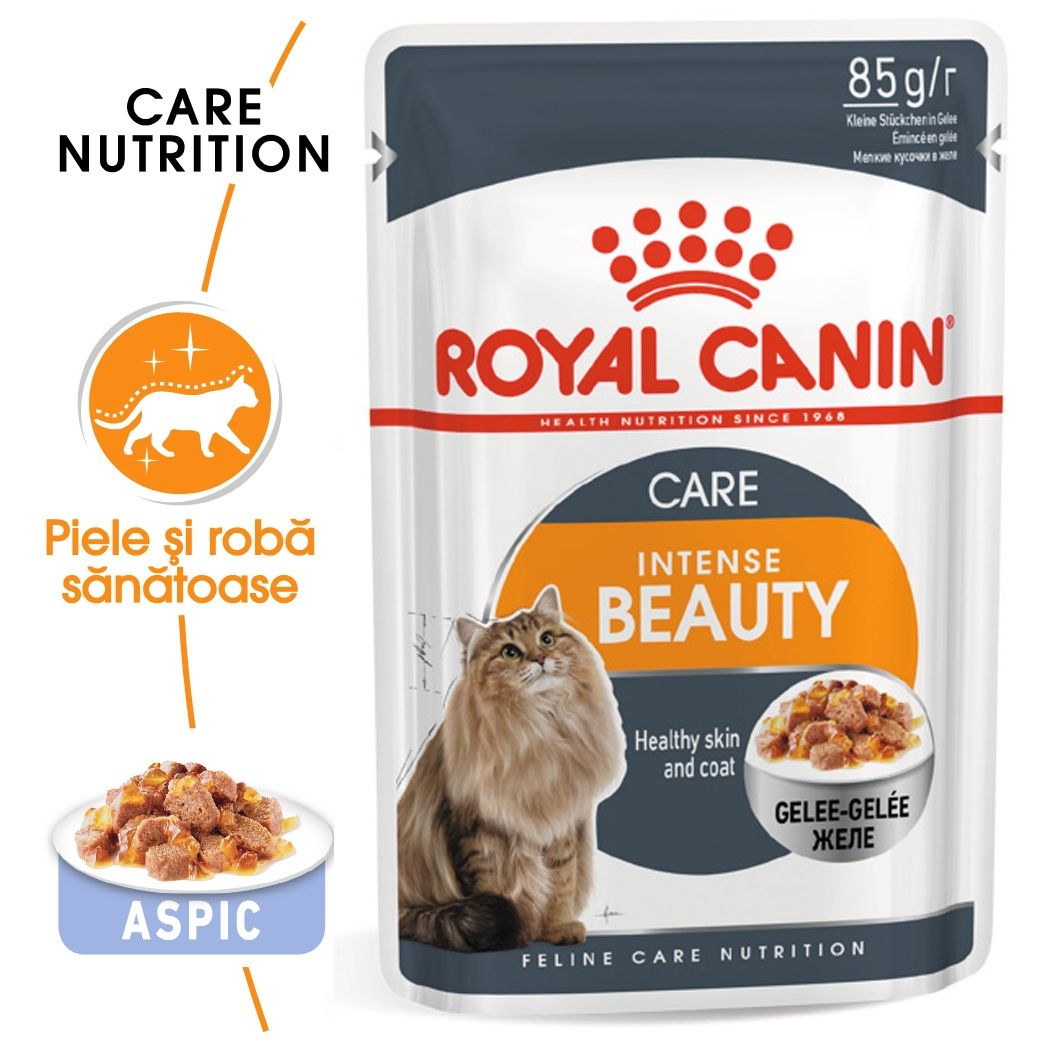 Royal Canin Intense Beauty Care Adult hrana umeda pisica, piele/blana sanatoase (aspic), 85 g Hrana umeda Pisici 2023-09-26