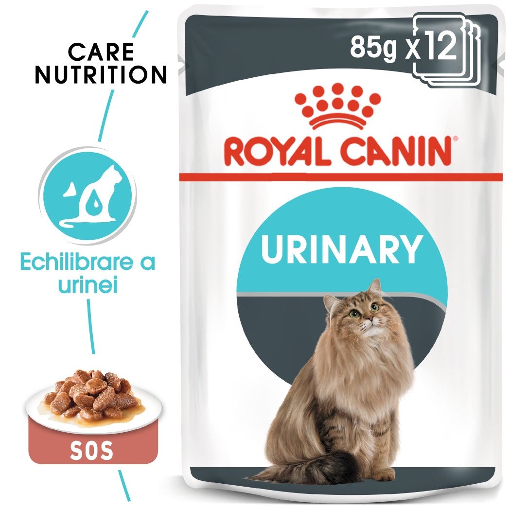 Royal Canin Urinary Care Adult hrana umeda pisica, sanatatea tractului urinar (in sos), 12×85 g (în