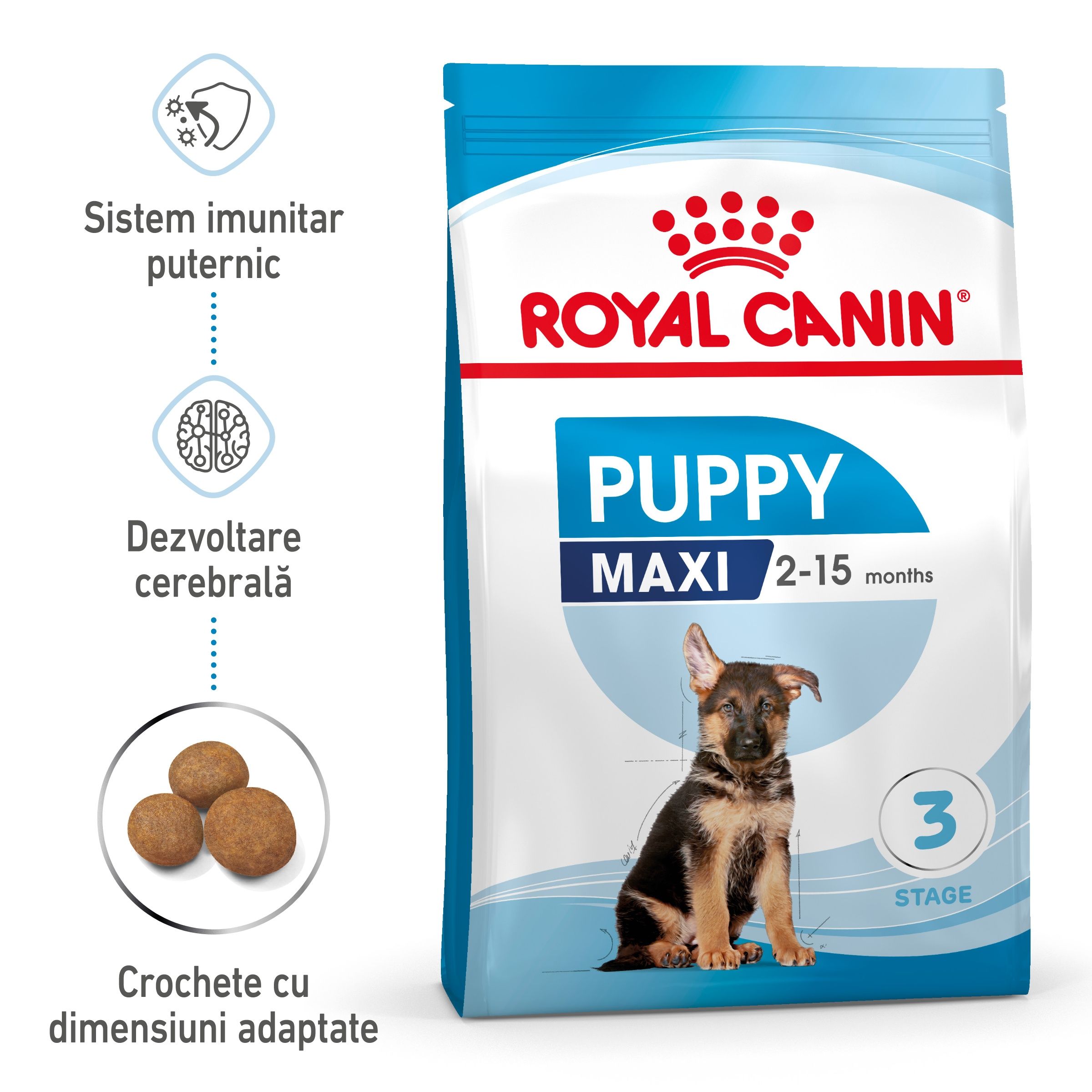 Royal Canin Maxi Puppy hrana uscata caine junior, 1 kg