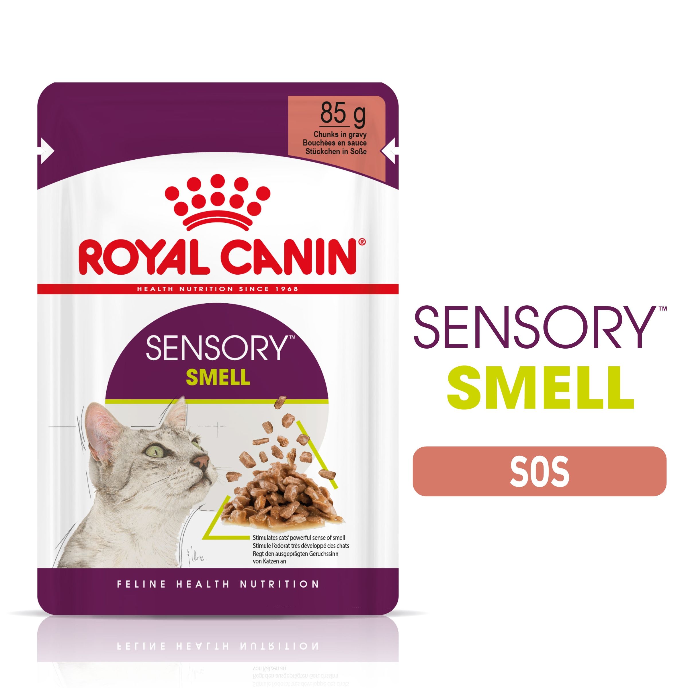 Royal Canin Sensory Smell, Hrana Umeda Pisica (in Sos), 12×85 G