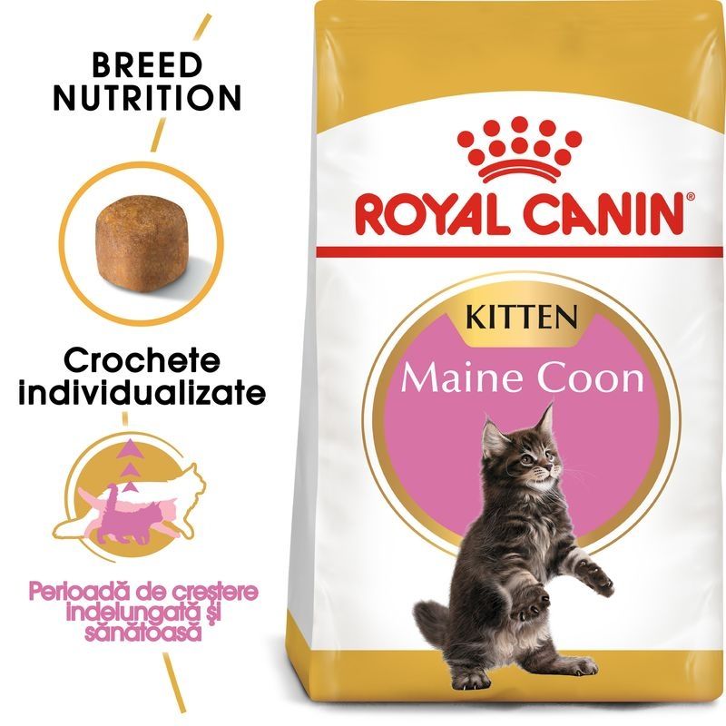Royal Canin Maine Coon Kitten hrana uscata pisica junior CANIN imagine 2022