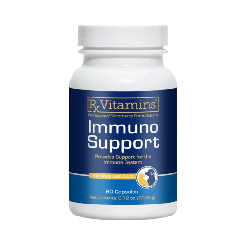 RX Immuno Support, 60 capsule
