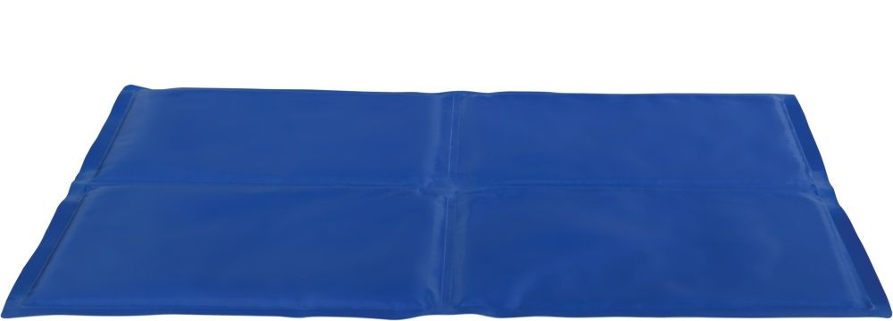 Saltea Racoritoare 100 x 60 cm Albastru 28688 100