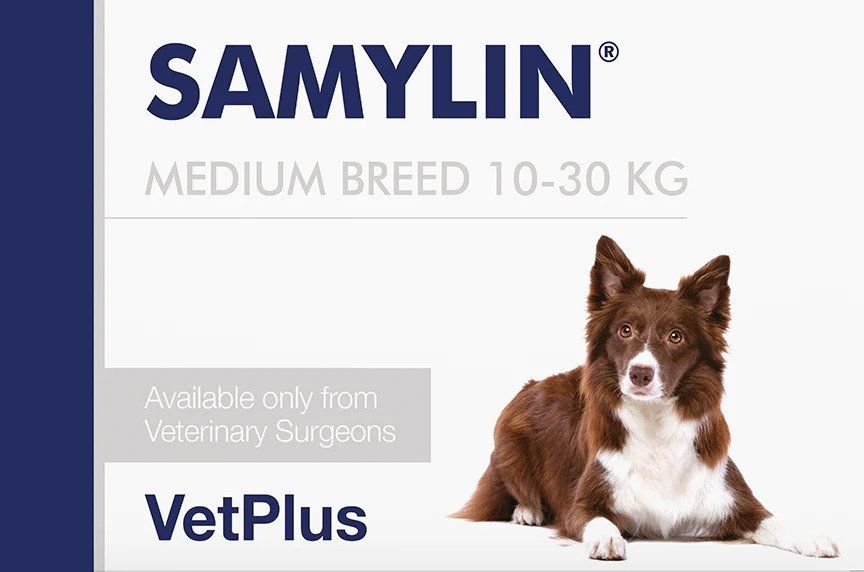 Samylin Medium Breed 10-30 kg, 30 tablete (10-30 imagine 2022