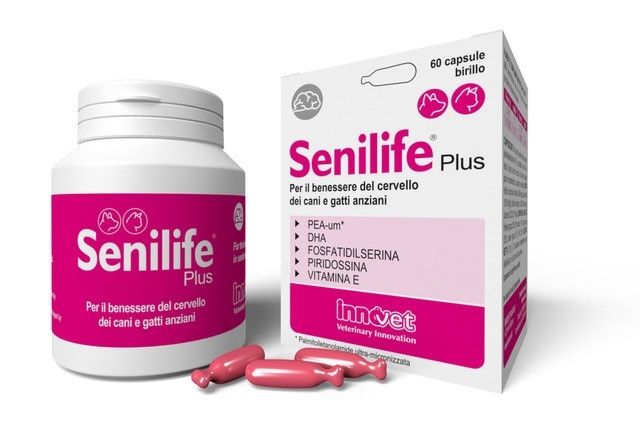 Senilife Plus, 60 Capsule