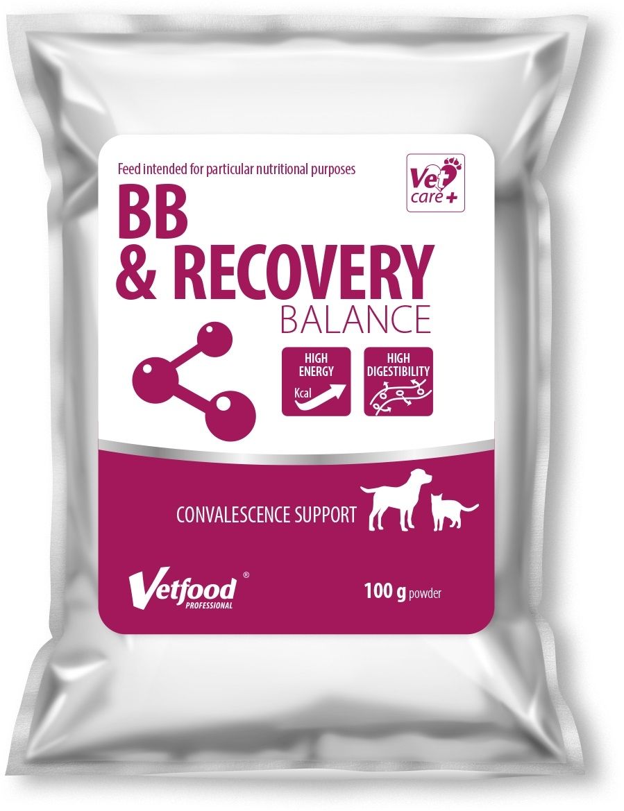 VetFood BB & RECOVERY BALANCE, 100 g 100
