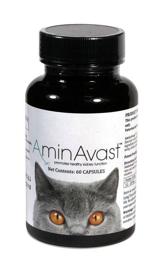 Aminavast Cat, 300 Mg/ 60 Capsule