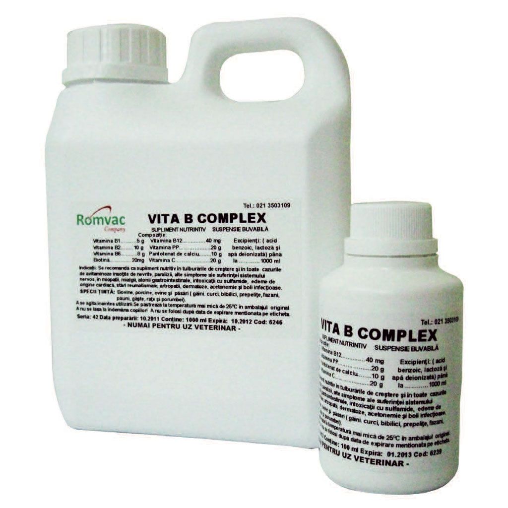 VITA B COMPLEX 100 ml