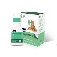Viyo Recuperation Cat -150 ml