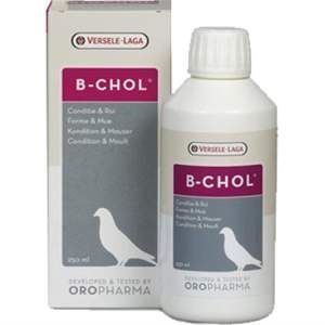 B-Chol, 250 ml 250
